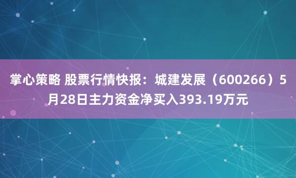 掌心策略 股票行情快报：城建发展（600266）5月28日主力资金净买入393.19万元