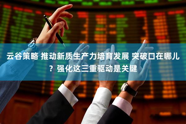 云谷策略 推动新质生产力培育发展 突破口在哪儿？强化这三重驱动是关键