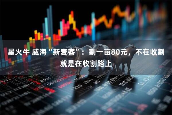 星火牛 威海“新麦客”：割一亩80元，不在收割就是在收割路上