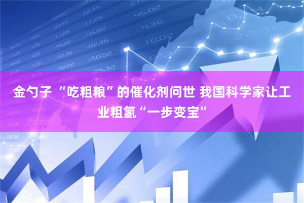 金勺子 “吃粗粮”的催化剂问世 我国科学家让工业粗氢“一步变宝”