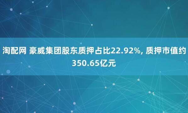淘配网 豪威集团股东质押占比22.92%, 质押市值约350.65亿元
