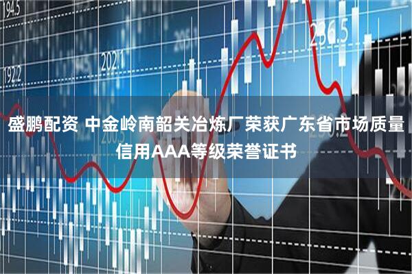 盛鹏配资 中金岭南韶关冶炼厂荣获广东省市场质量信用AAA等级荣誉证书