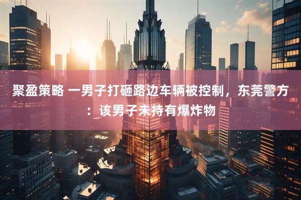 聚盈策略 一男子打砸路边车辆被控制，东莞警方：该男子未持有爆炸物