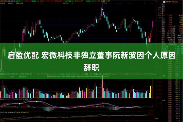 启盈优配 宏微科技非独立董事阮新波因个人原因辞职