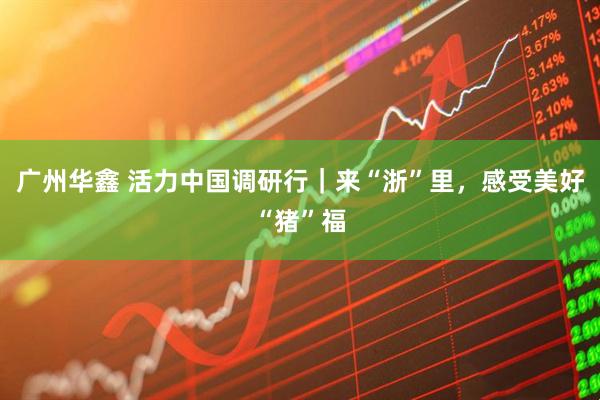 广州华鑫 活力中国调研行｜来“浙”里，感受美好“猪”福