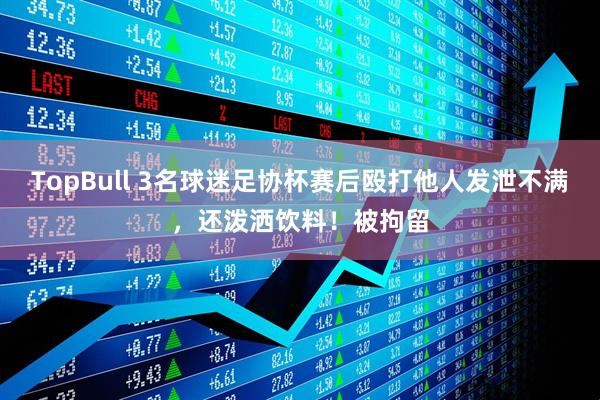 TopBull 3名球迷足协杯赛后殴打他人发泄不满，还泼洒饮料！被拘留