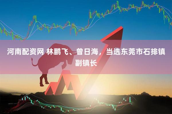 河南配资网 林鹏飞、曾日海，当选东莞市石排镇副镇长