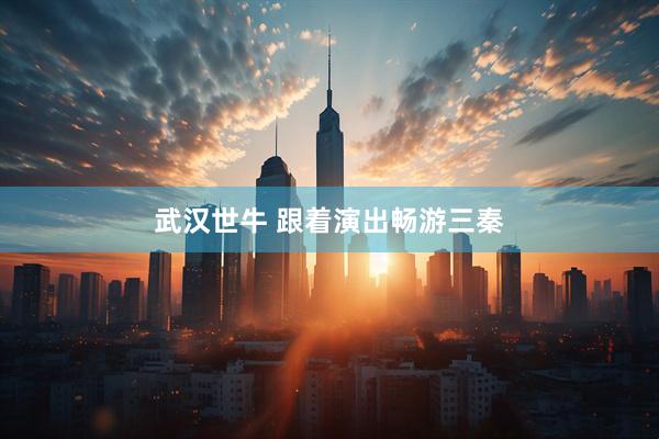 武汉世牛 跟着演出畅游三秦