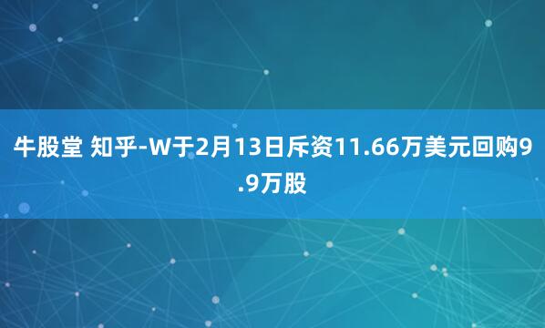 牛股堂 知乎-W于2月13日斥资11.66万美元回购9.9万股