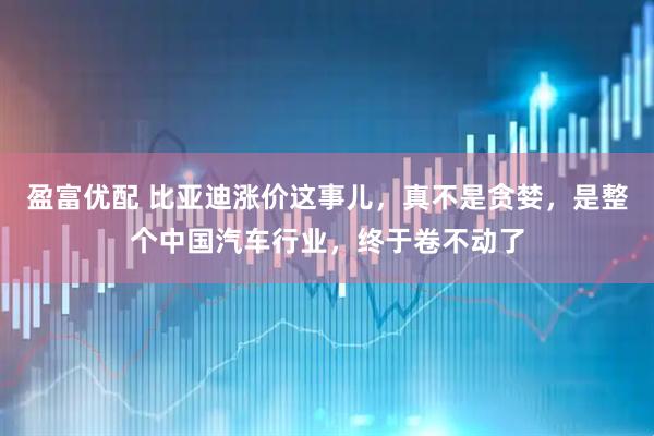 盈富优配 比亚迪涨价这事儿，真不是贪婪，是整个中国汽车行业，终于卷不动了